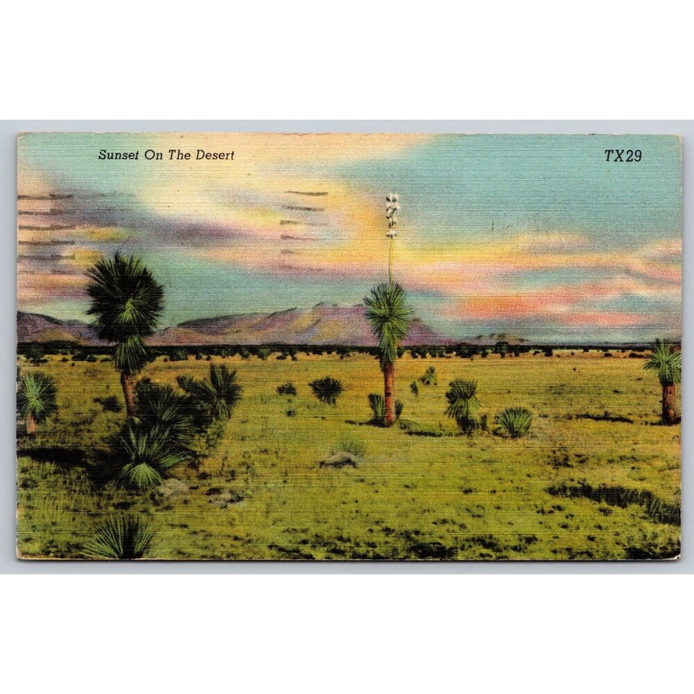 Vintage 1950s Linen Postcard Sunset On The Desert Tucson Arizona AZ TX29 Posted